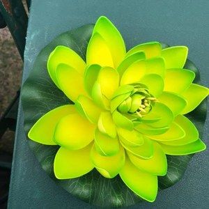 Meet your Posher, Sharie